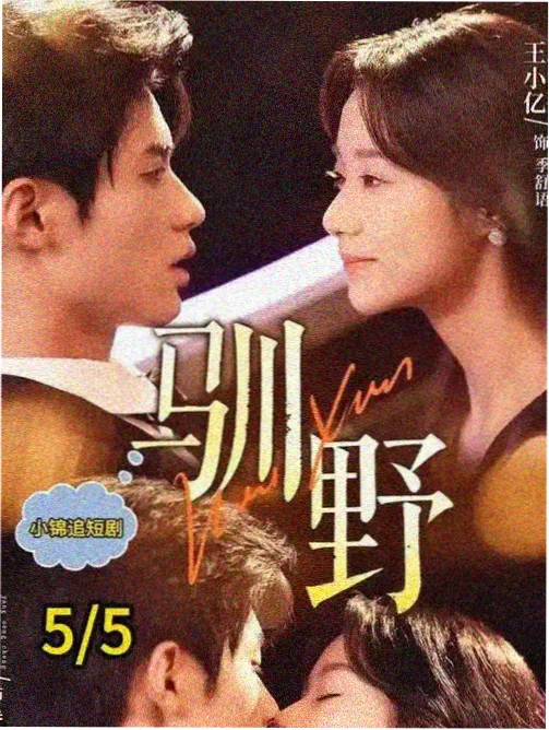 仙桃影视剧集线作品《北纬三十度》海报，公路与远山日落